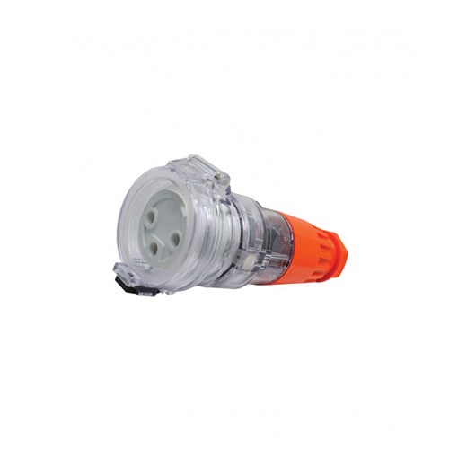 buexso332__large (1)